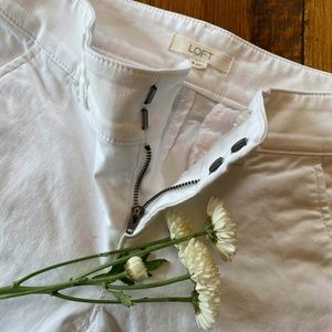 Petite Women's Loft Pants